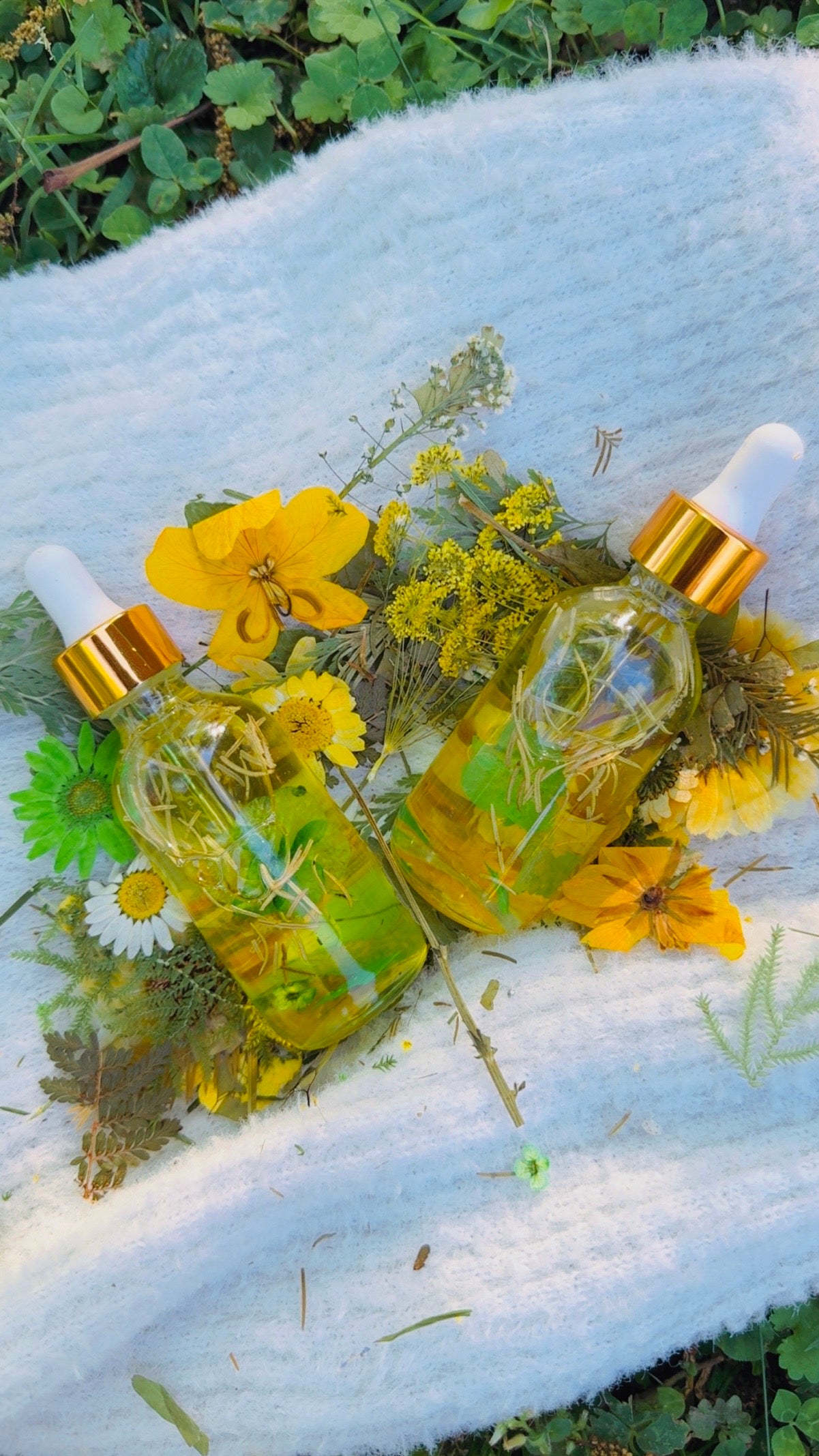 CROWN LOTUS OIL ππ